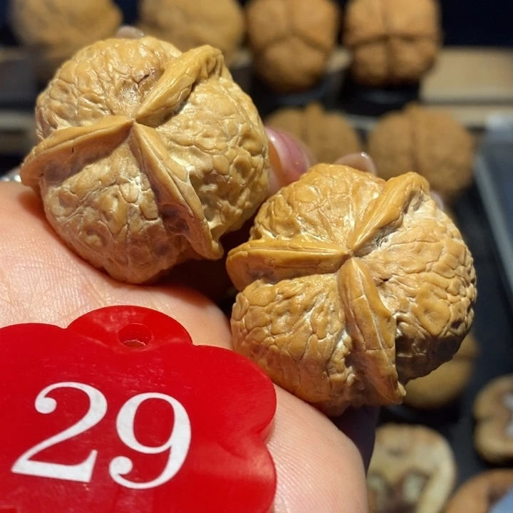 核桃粗筋三棱尺寸35