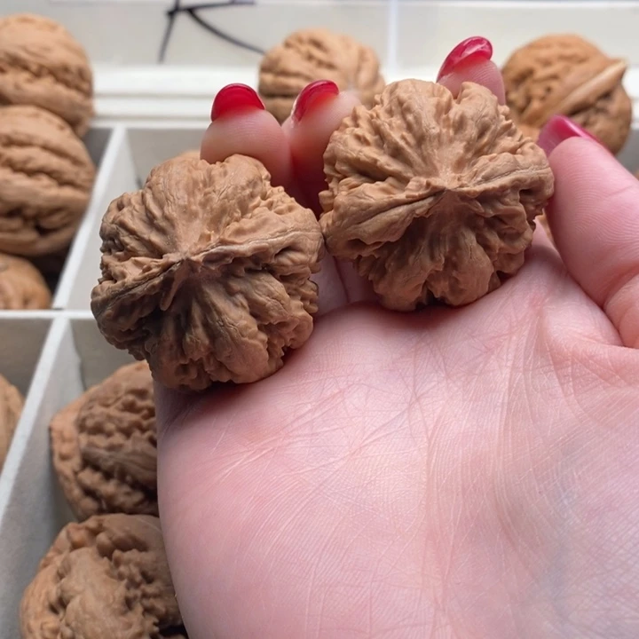 别***你霸王龙全品无修一刀没动