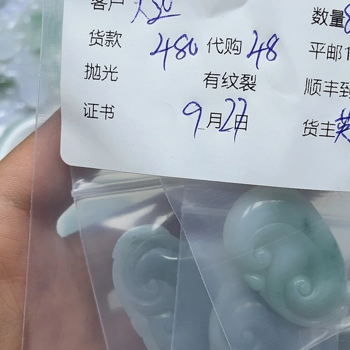 天***宙翡翠未镶嵌颈饰天然翡翠