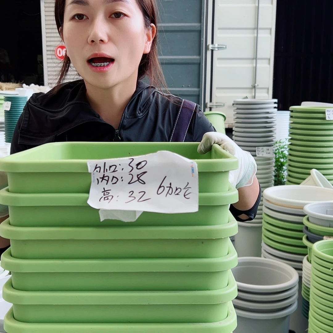 方盆F30果绿3个无托