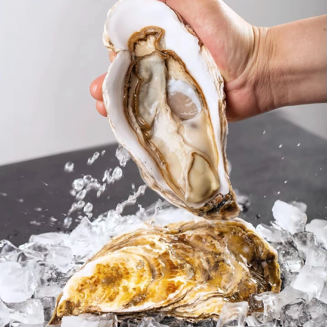 海洋牧场｜特大蚝王乳山生蚝鲜活到手6个总净重2.5KG