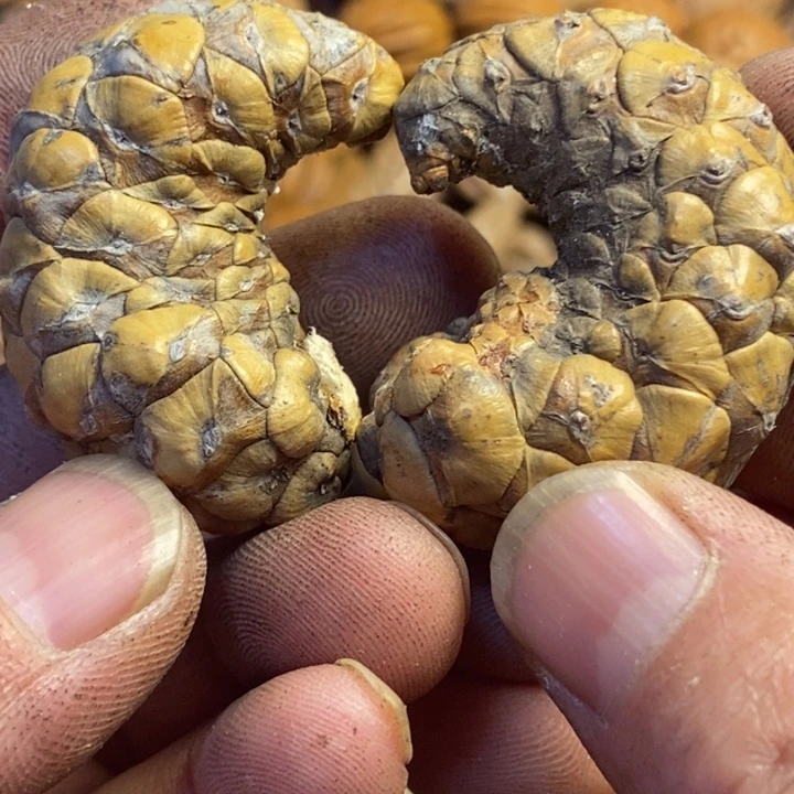 文玩核桃吊坠东北特产164