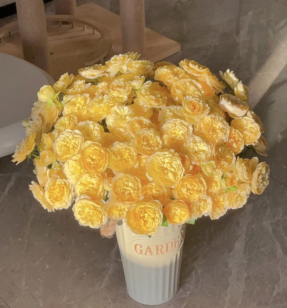 蜜柚汁多头玫瑰20%不售后（全场任意两单顺丰包邮）