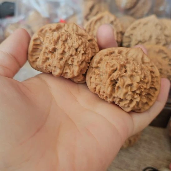 文玩核桃吊坠48龙鼎管帽