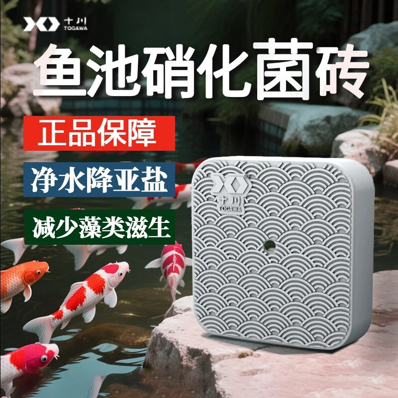鱼池硝化细菌方锦鲤池菌砖材料消化细菌净化硝化过滤鱼缸净水魔方