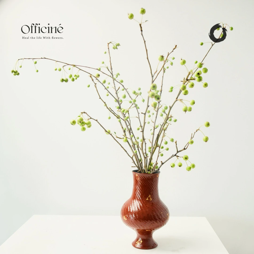 海棠果 绿色 Officine美好花市基地直采鲜切花云南顺丰空运