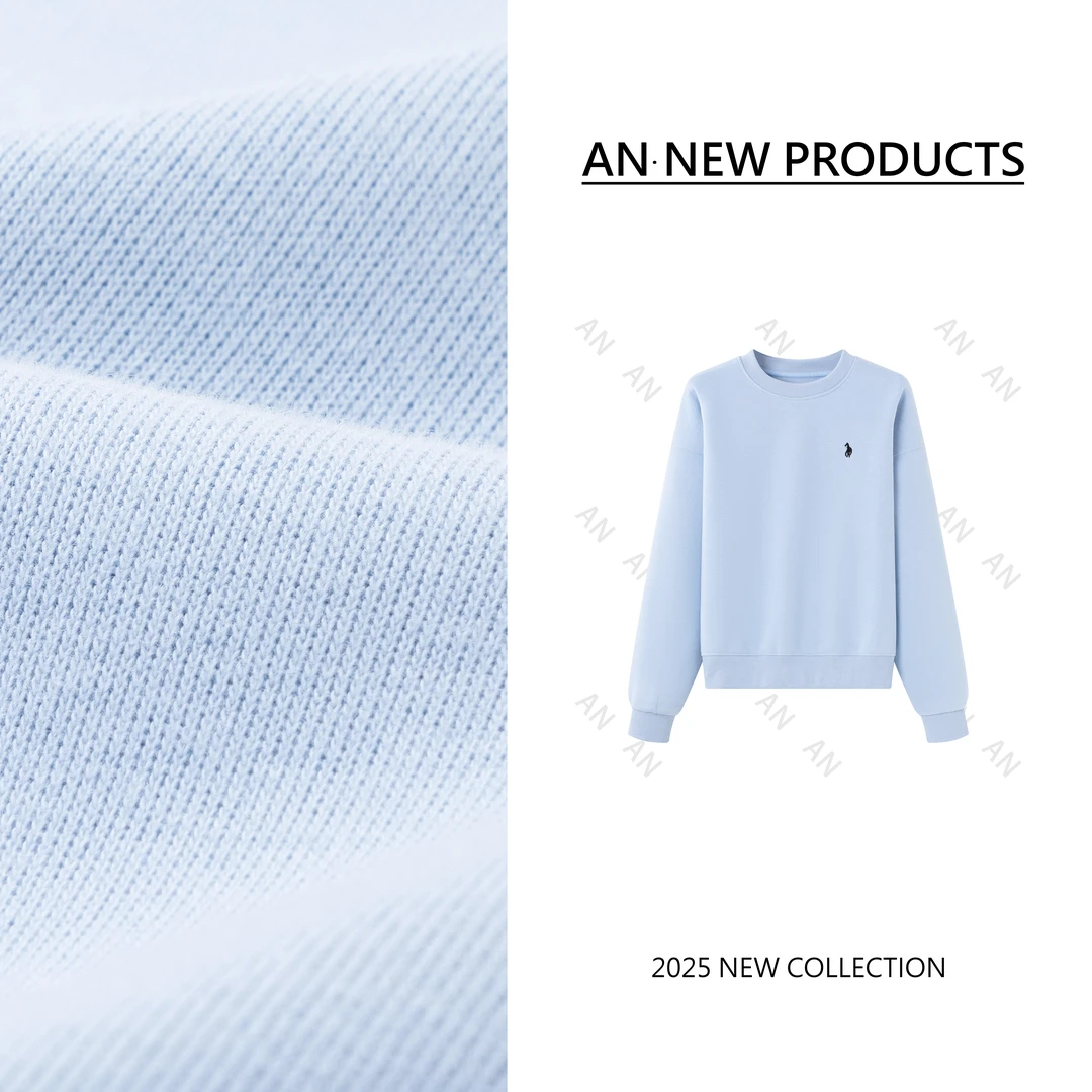 C02248春季新款ins风宽松慵懒别致圆领刺绣套头卫衣