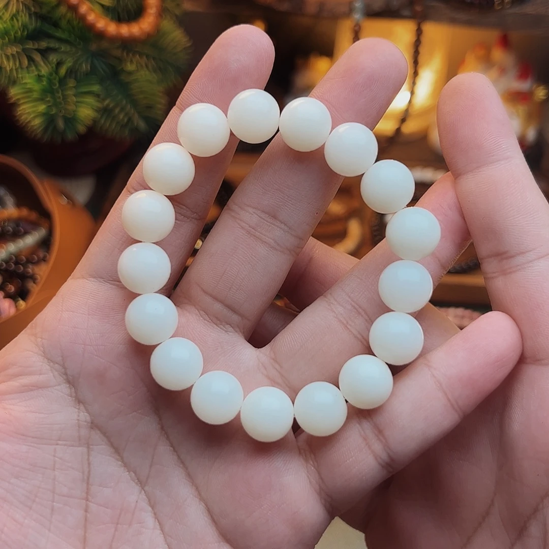 菩提根/象牙果手串