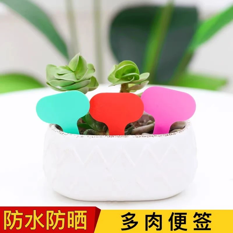 植物标签园艺标签T型花卉标签小号多肉标识牌防水塑料插地牌盆栽