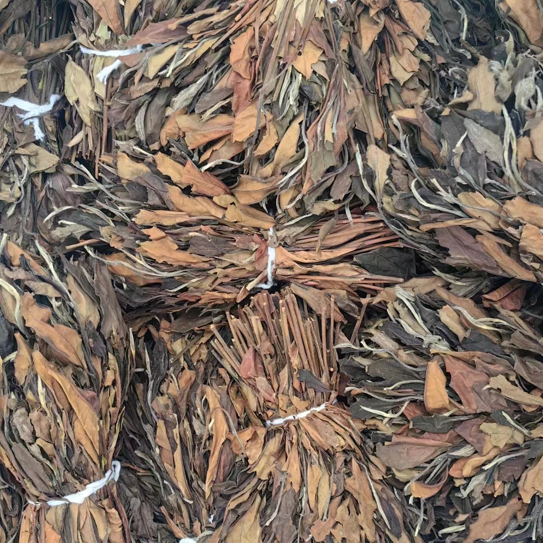 叶芽泉 【马上有福年】2019年扫把茶
