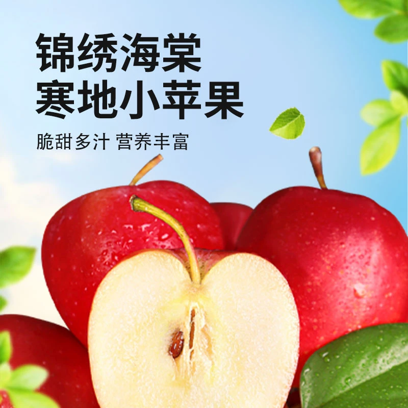 东北辽宁特产鸡心果苹果海棠果脆甜酸甜饱满多汁采摘新鲜自然成熟
