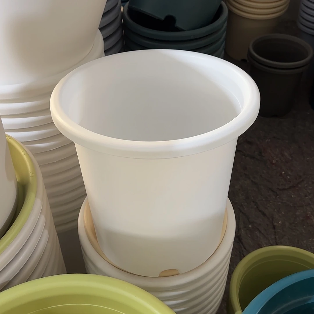 微瑕8号3个无托，白色