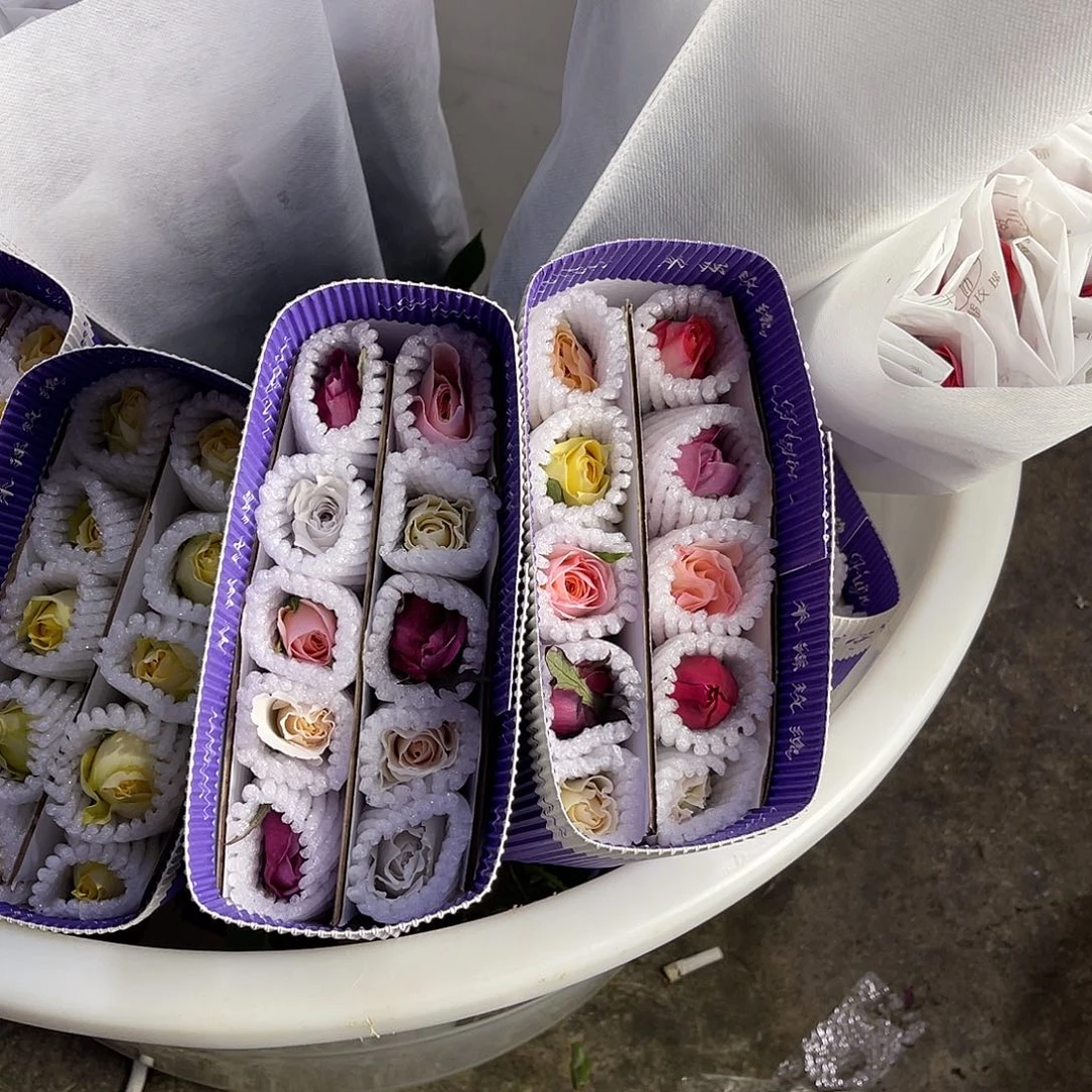 完全开放禾锦（稀有混单）10枝