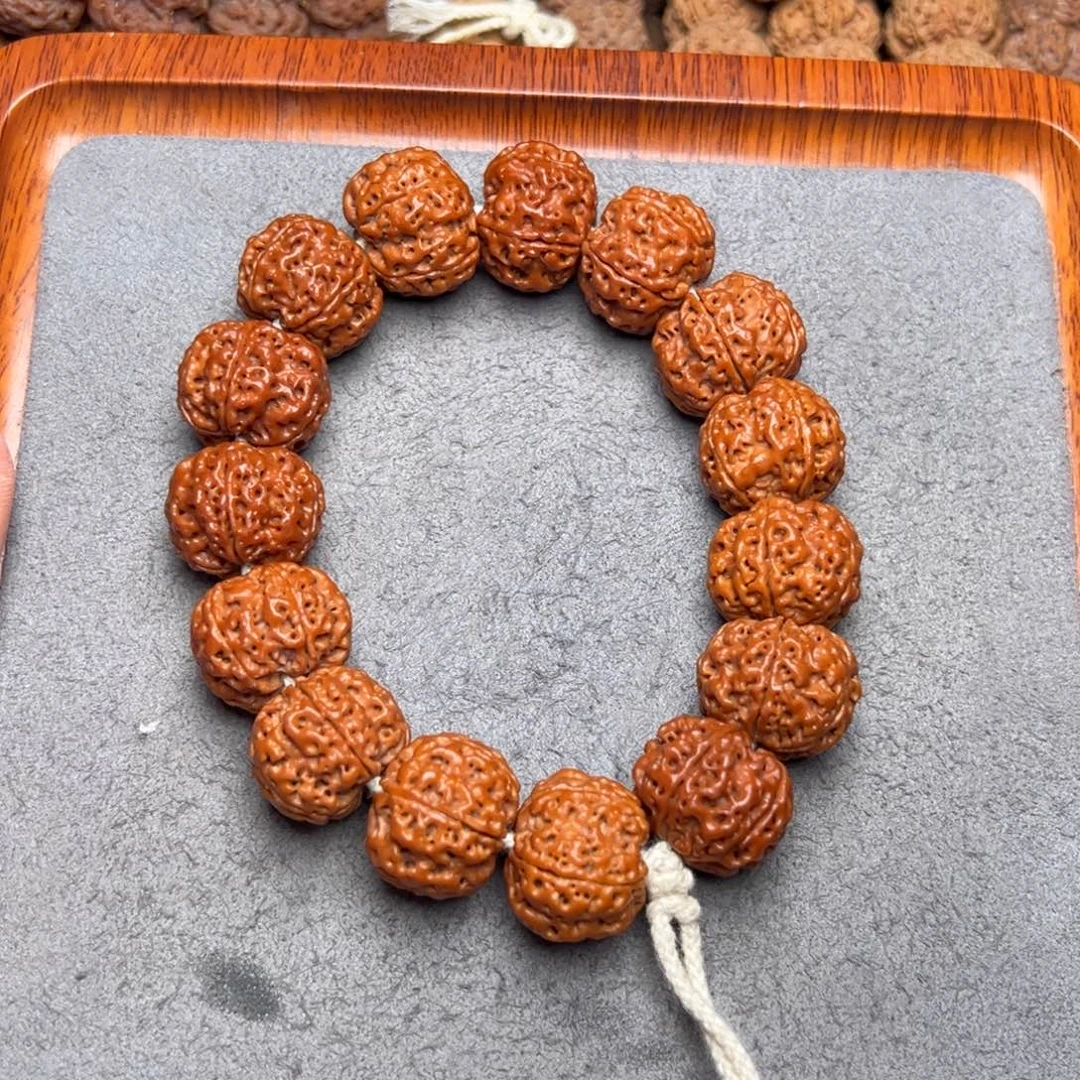 菩提2号金刚菩提安娜蜂窝21