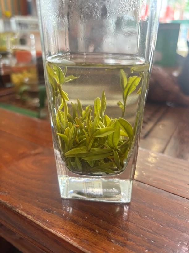 ～2025年扬州特产捺山绿杨春明前特价4月3～5号