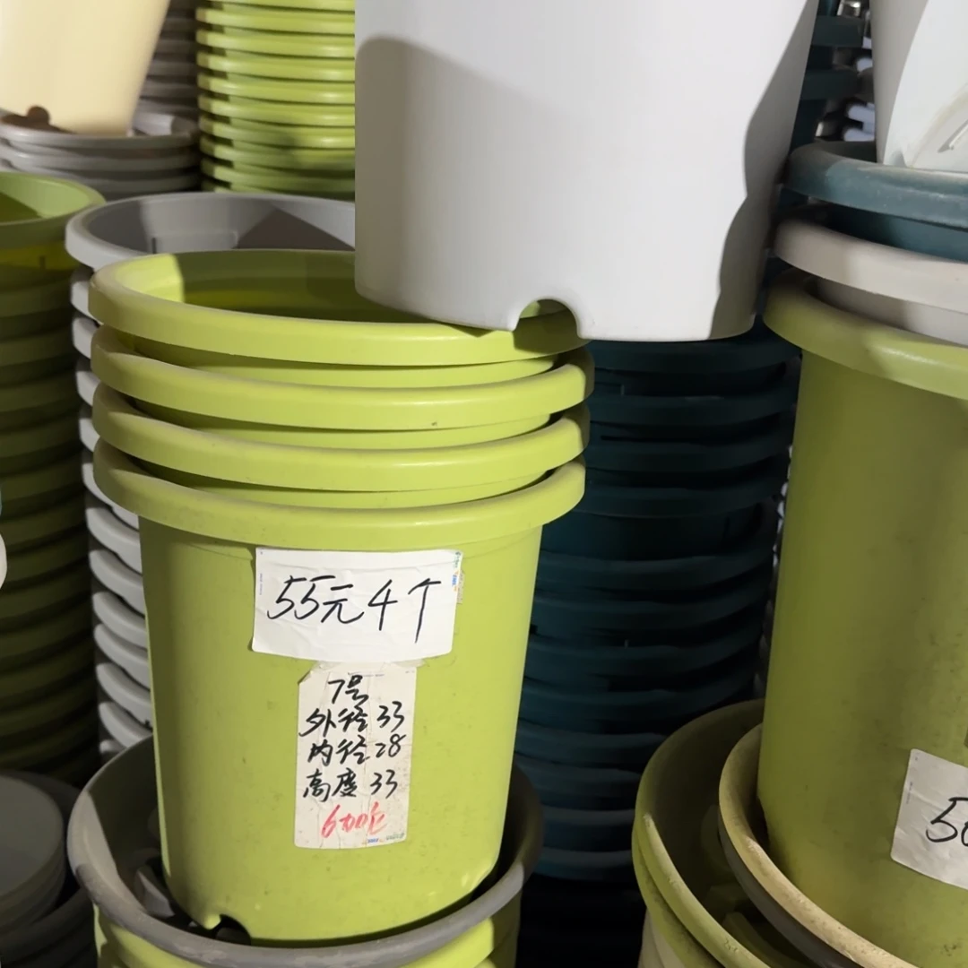 四季7#口径33带拖果绿6套