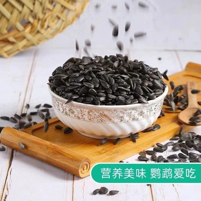 珍珠油葵瓜子颗粒饱满鹦鹉鸟粮生瓜子