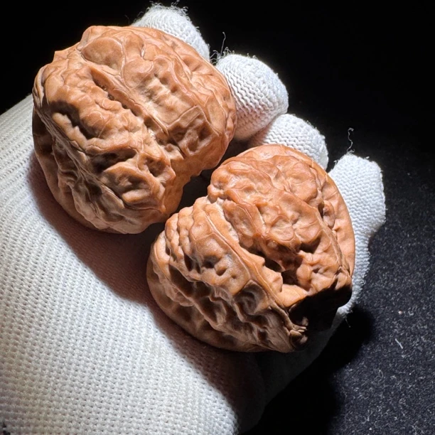 533〖收藏款〗货头金蟾蛤蟆蛙王一对实物拍摄尺寸:边44肚46高32