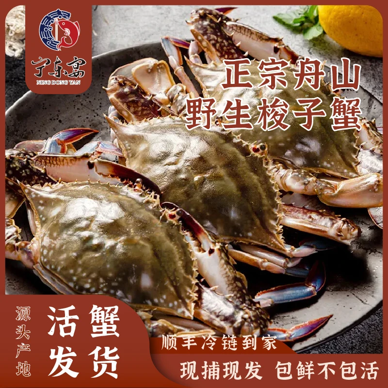 【保鲜不保活】 正宗舟山野生梭子蟹4-5两/只 净重3斤/箱 充氧活发