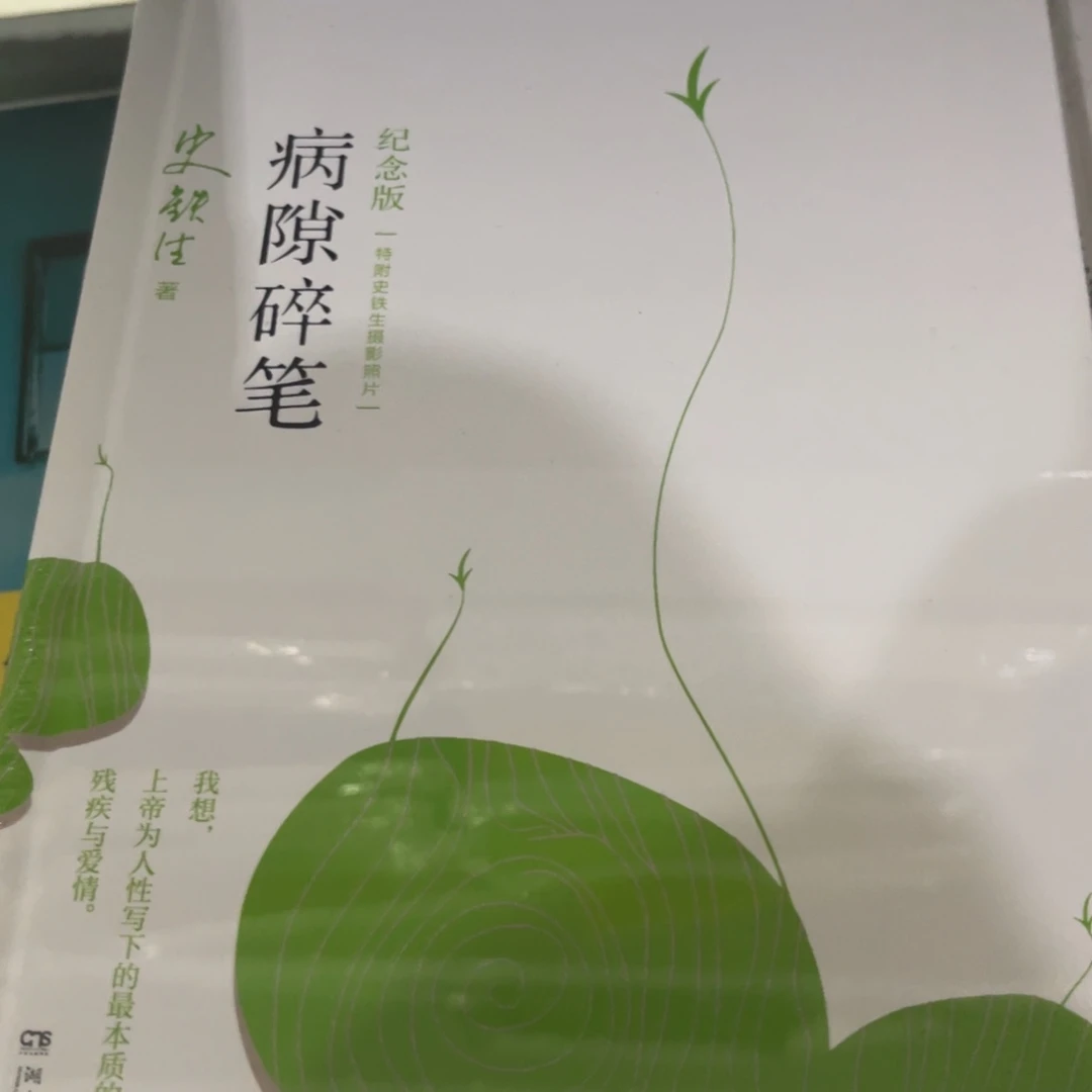 病隙碎笔精装一个