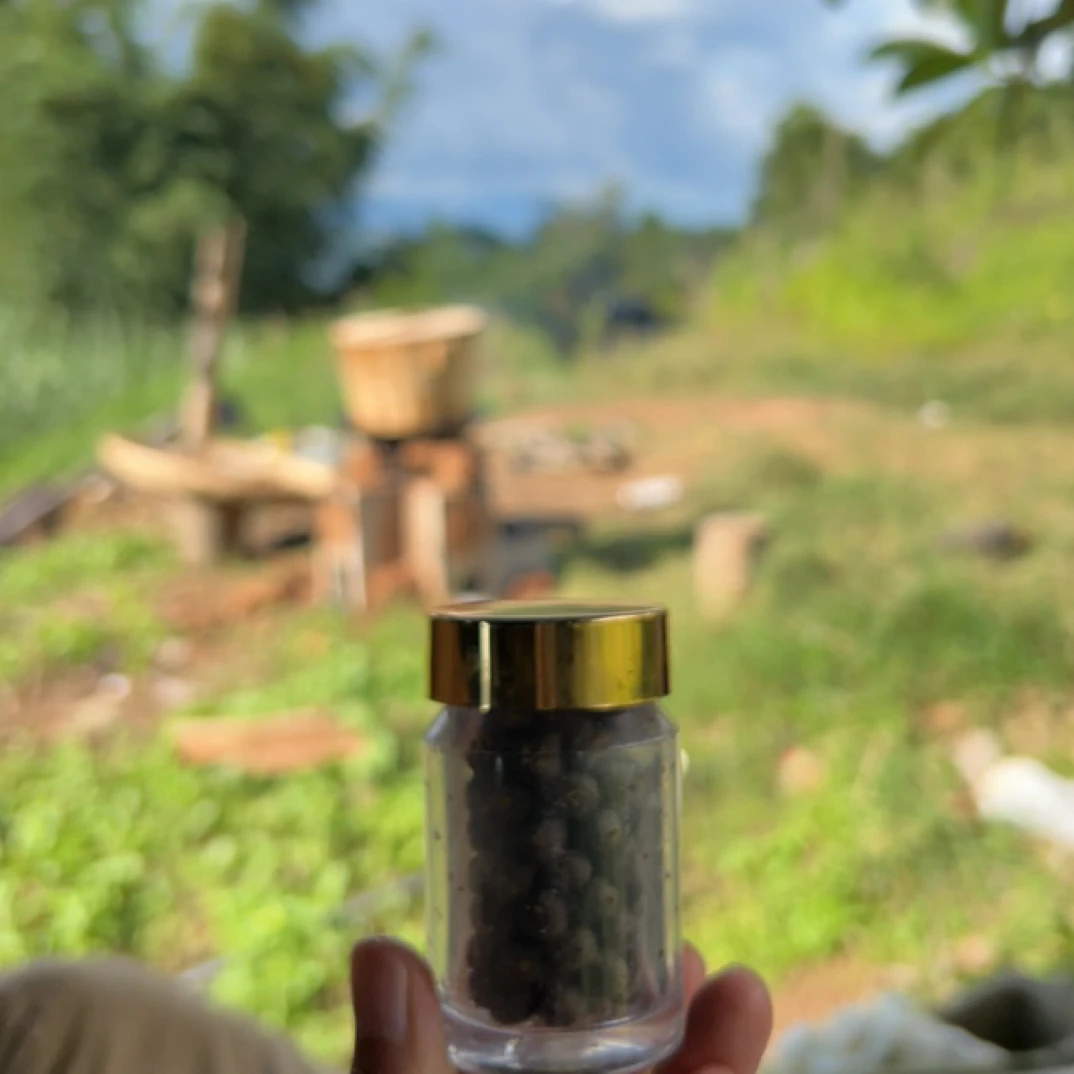 小黄瓶瓶子一瓶直筒便携式