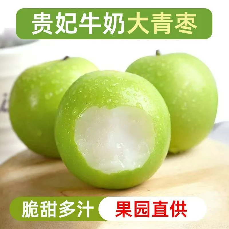 【枝来熟】台湾牛奶大青枣脆枣子福建贵妃蜜枣新鲜水果应季现摘现发