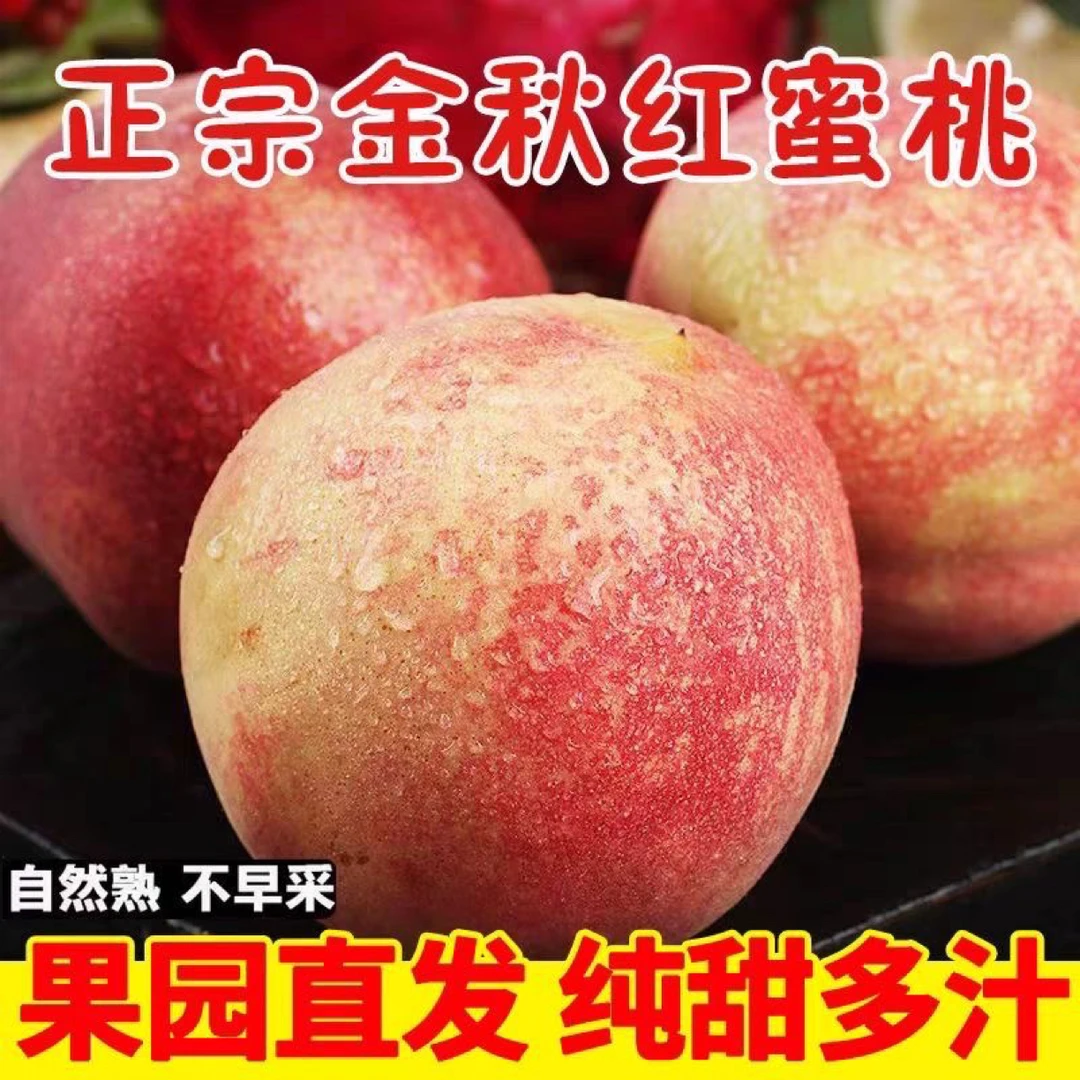 【精品彩箱】蒙阴金秋红蜜冬桃大果4.5-5斤脆甜可口坏果包赔