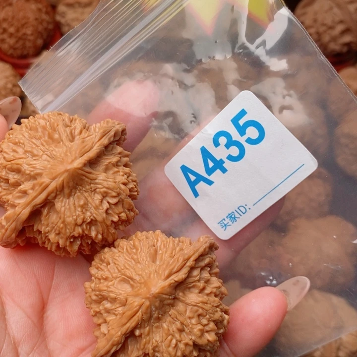 满天星48尺有修435号