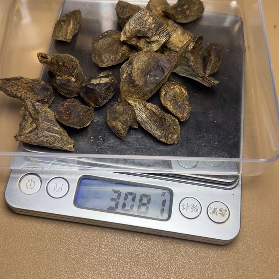 树脂制品盆**缘海南乌身树30克