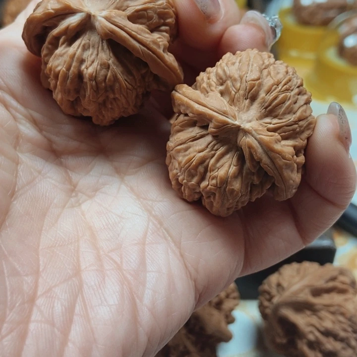 文玩核桃把件白狮子