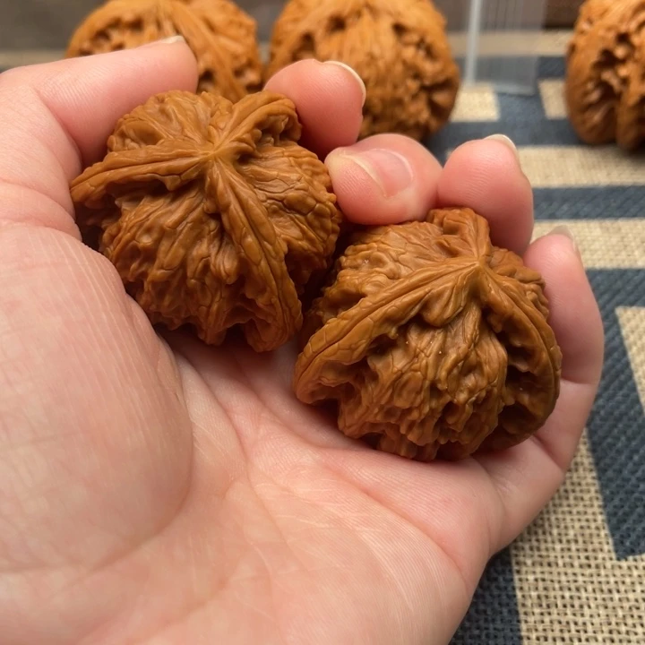 嘟***丶核桃白狮子39核桃