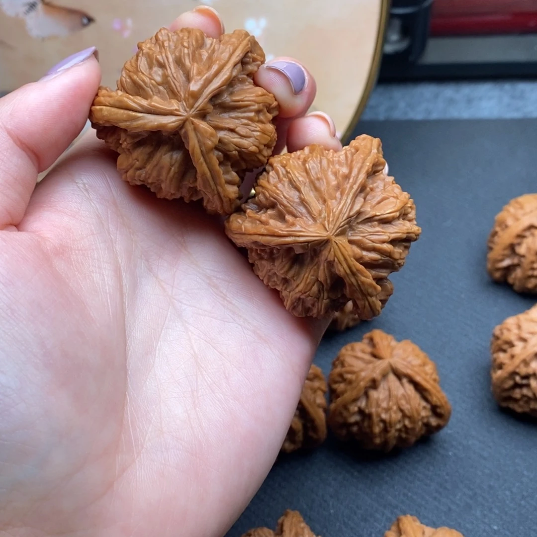 十**生白狮子1111111111111