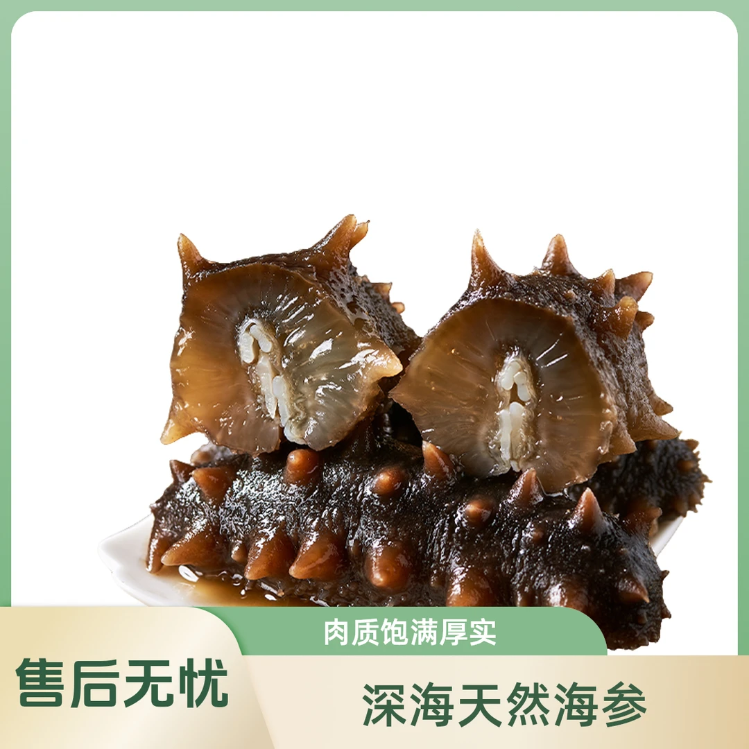 高端食材海参大连海参辽刺参正宗海参孕妇正品学生鲜食海参送即食