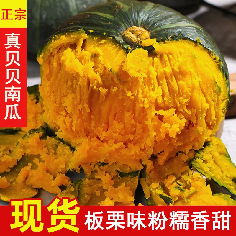 内蒙古沙漠贝贝南瓜板栗老南瓜应季新鲜蔬菜沙地粉糯贝贝南瓜5斤