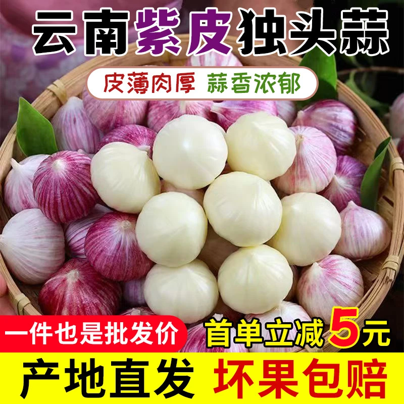 云南紫皮独头蒜干蒜大蒜头5斤新鲜红皮湿蒜农家自种蔬菜纯正批发