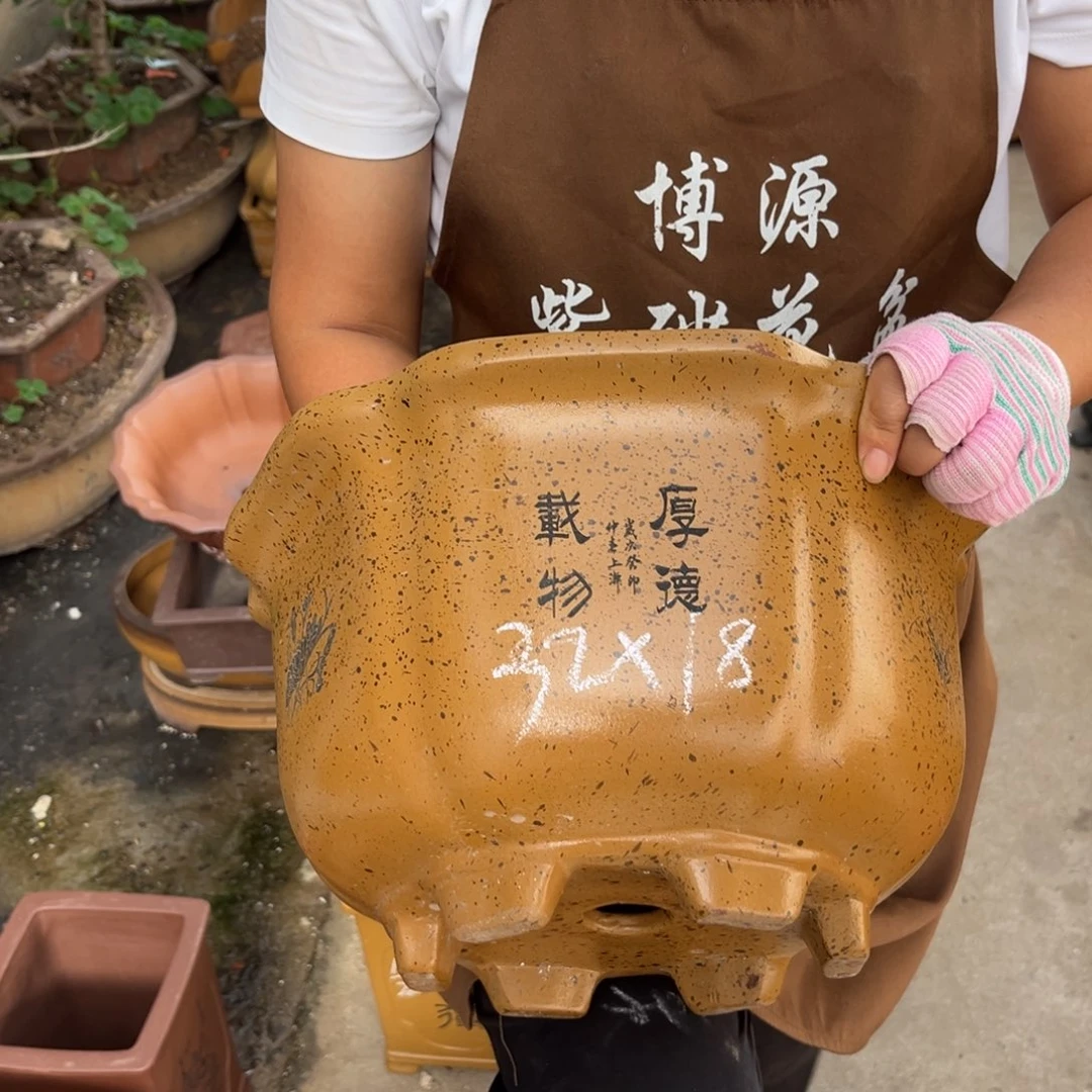 花盆紫砂盆景艺术