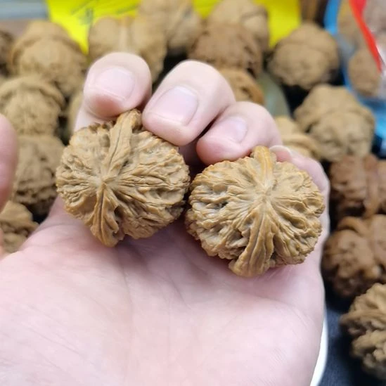 文玩核桃吊坠异型核桃