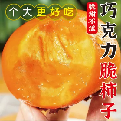 【现摘现发】冰糖心巧克力脆柿子阳丰甜柿子新鲜当季水果无核脆甜