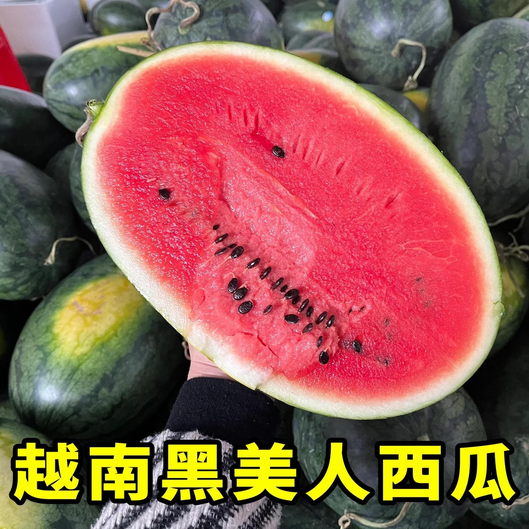 【顺丰包邮】正宗越南黑美人西瓜纯甜多汁新鲜应季水果一整箱快发