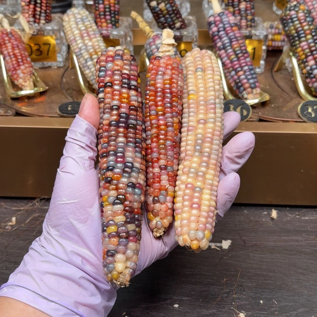 柏香籽/百香籽吊坠安*