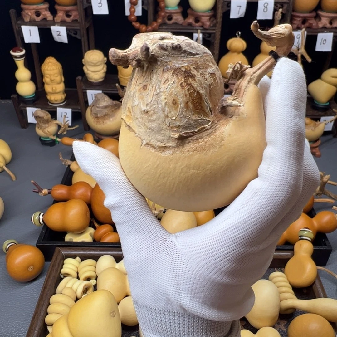 哈***哈葫芦葫芦葫芦葫芦