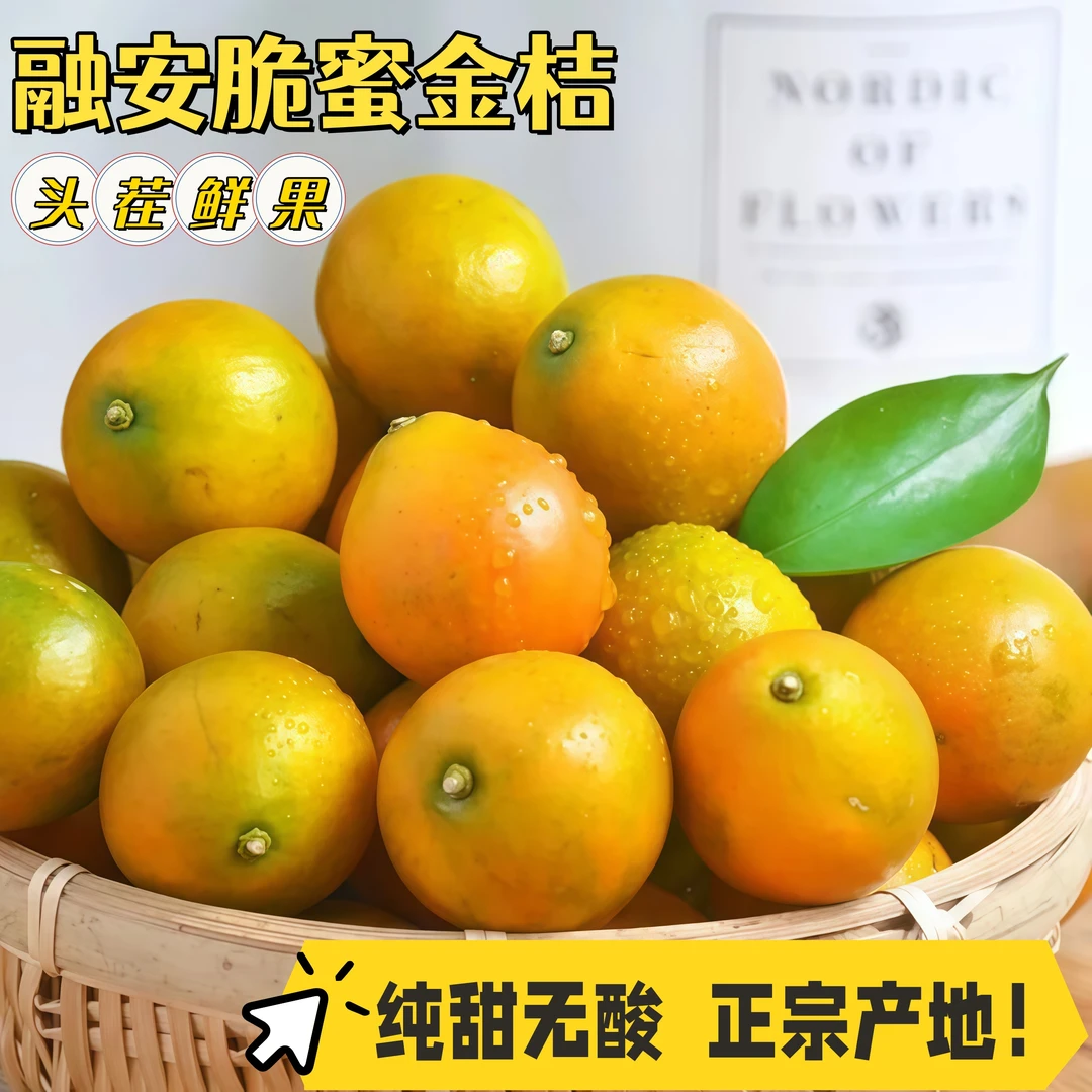 【脆蜜金桔】第三代广西融安脆蜜金柑品质新鲜水果特甜特大带皮吃