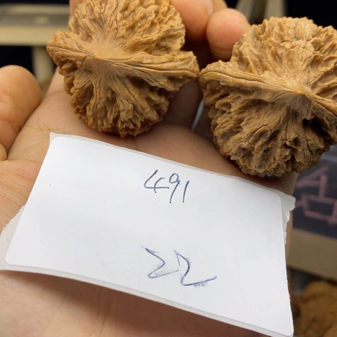 大花大刺核桃53克全品