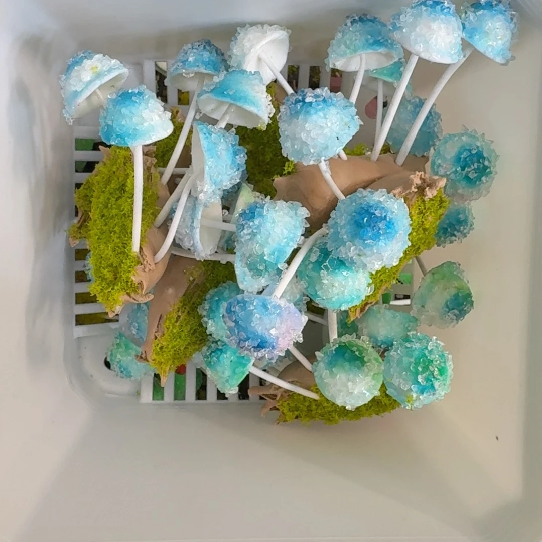 树脂制品51噢噢噢哦哦