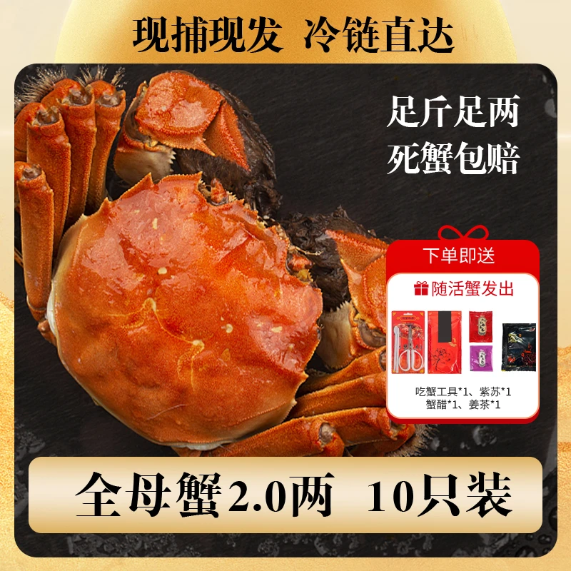 【活蟹】精品大闸蟹全母蟹2.0两 10只礼盒礼盒装江苏螃蟹顺丰包邮