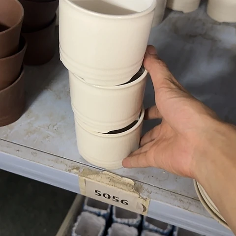 3个····全是福利····5056