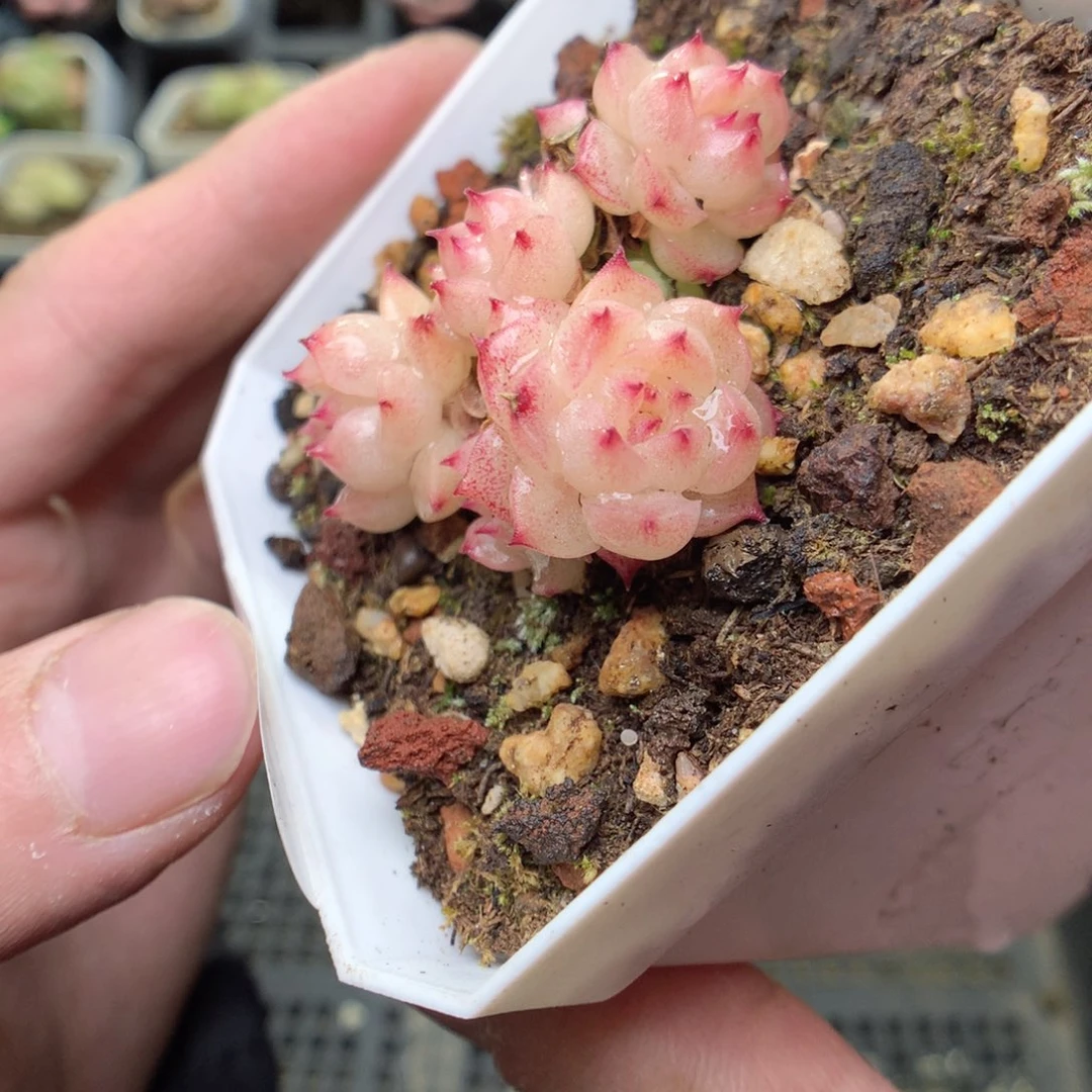 S179y y y y y y y y y