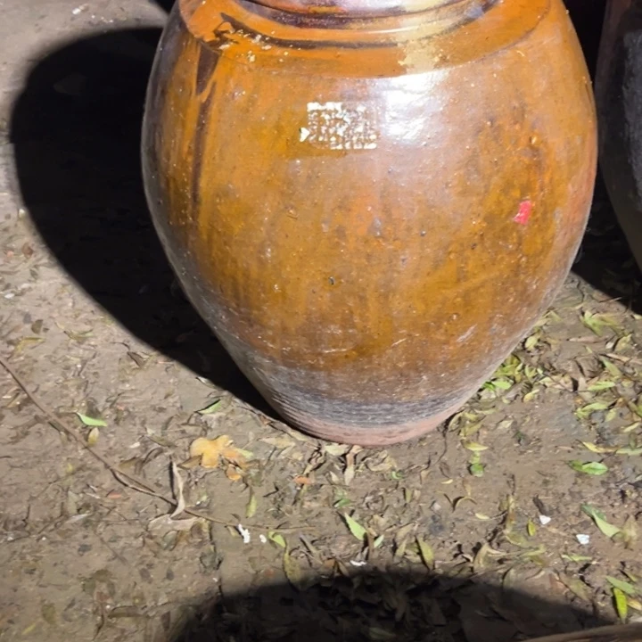 有机玻璃种花一物一拍包邮