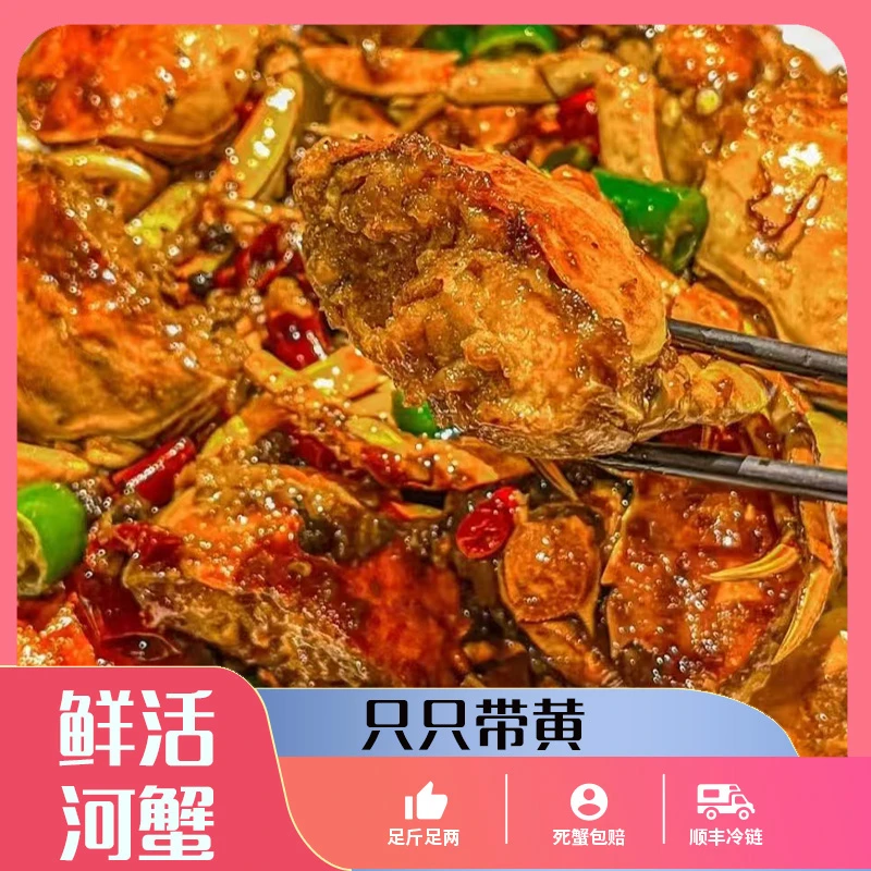 【活蟹】0.8-1.1两盘锦河蟹全母蟹20只不绑绳不包掉脚顺丰京东包邮