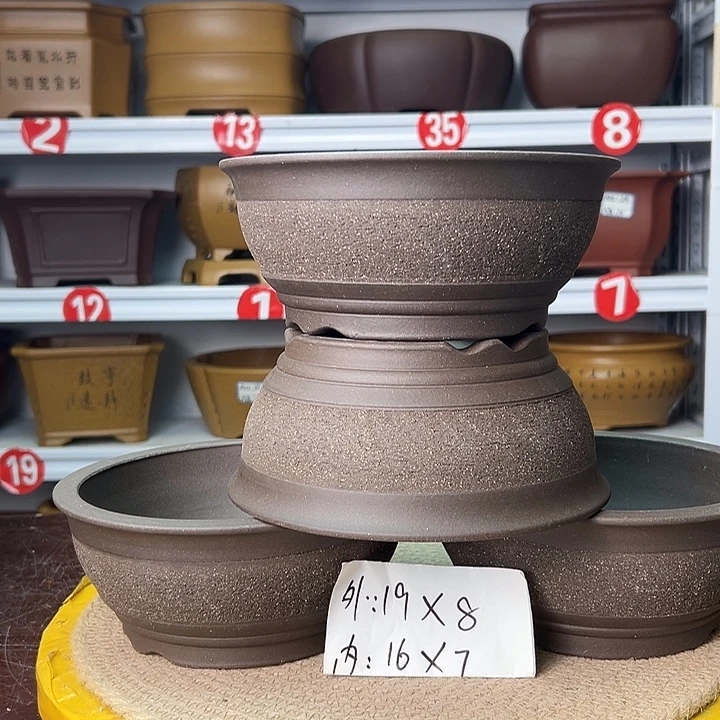 花盆紫砂蛇年大吉